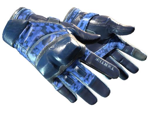 ★ Moto Gloves | Polygon (Well-Worn)