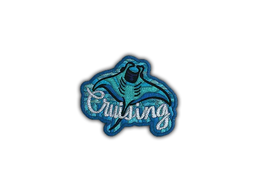 Patch | Cruising Ray