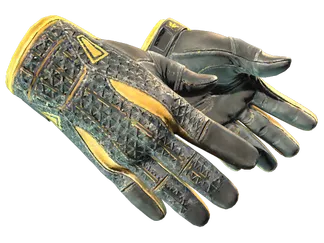 ★ Sport Gloves | Omega (Well-Worn)