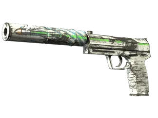Souvenir USP-S | Road Rash (Well-Worn)