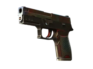 P250 | Cyber Shell (Battle-Scarred)