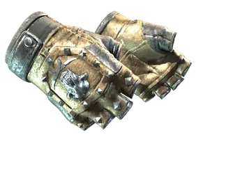 ★ Bloodhound Gloves | Bronzed (Field-Tested)