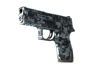 P250 | Steel Disruption