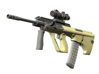 Souvenir AUG | Colony (Well-Worn)