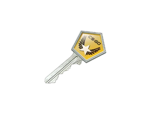Winter Offensive Case Key