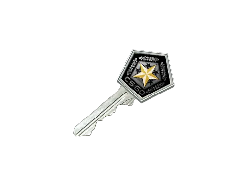 Gamma 2 Case Key