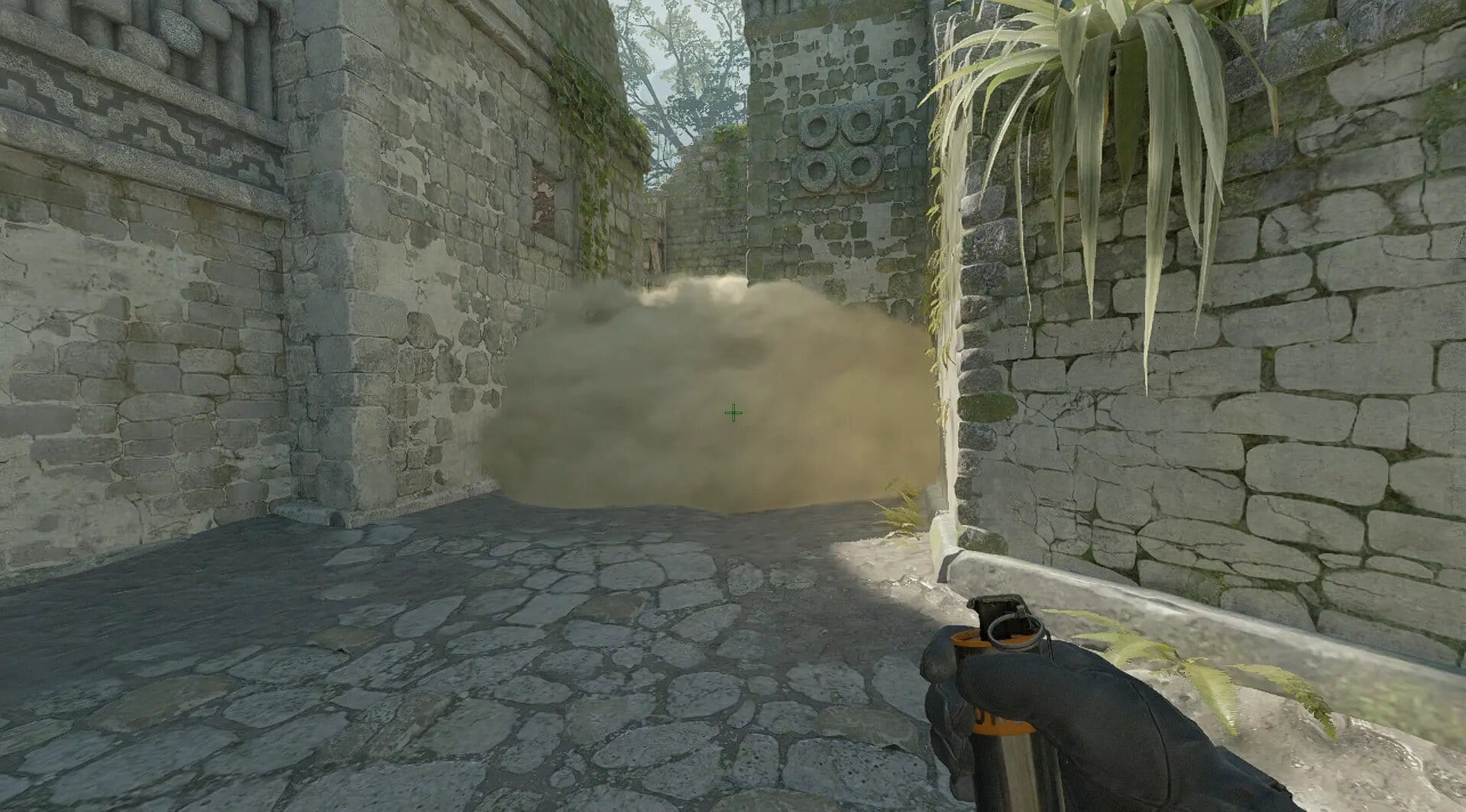 Смок зиг с окна